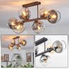 Koyoto ceiling light, globe light Amber, clear, Smoke-coloured, 6-light sources