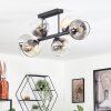 Koyoto ceiling light, globe light Amber, clear, Smoke-coloured, 6-light sources