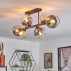 Koyoto ceiling light, globe light Amber, clear, Smoke-coloured, 6-light sources