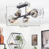 Koyoto ceiling light, globe light Amber, clear, Smoke-coloured, 6-light sources