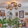 Ripoll ceiling light, globe light Smoke-coloured, 8-light sources