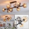 Ripoll ceiling light, globe light Amber, clear, Smoke-coloured, 8-light sources