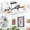 Ripoll ceiling light, globe light Amber, clear, Smoke-coloured, 8-light sources