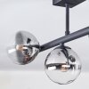 Chehalis ceiling light, globe light clear, Smoke-coloured, 5-light sources