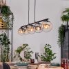 Gastor hanging light, globe light, pendant light Amber, clear, Smoke-coloured, 5-light sources