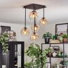 Ripoll ceiling light, globe light Amber, clear, 5-light sources
