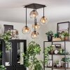 Ripoll ceiling light, globe light Amber, clear, Smoke-coloured, 5-light sources