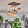 Ripoll ceiling light, globe light Amber, clear, Smoke-coloured, 5-light sources