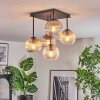 Koyoto ceiling light, globe light Amber, clear, Smoke-coloured, 5-light sources