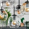Ripoll ceiling light, globe light Amber, clear, Smoke-coloured, 5-light sources