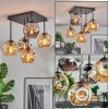 Ripoll ceiling light, globe light Amber, Smoke-coloured, 5-light sources
