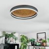 Guine ceiling light LED gold, black, 1-light source