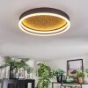 Guine ceiling light LED gold, black, 1-light source