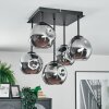 Ripoll ceiling light, globe light Smoke-coloured, 5-light sources