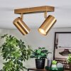 Javel ceiling light, ceiling spotlight gold, 2-light sources