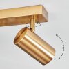 Javel ceiling light, ceiling spotlight gold, 2-light sources