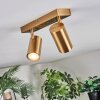 Javel ceiling light, ceiling spotlight gold, 2-light sources