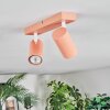 Javel ceiling light, ceiling spotlight pink, white, 2-light sources