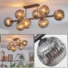 Ripoll ceiling light, globe light Smoke-coloured, 8-light sources