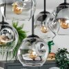 Ripoll ceiling light, globe light clear, Smoke-coloured, 5-light sources