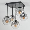 Ripoll ceiling light, globe light clear, Smoke-coloured, 5-light sources