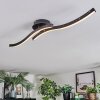 Arlan ceiling light LED black, 1-light source