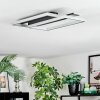 Olian ceiling light LED black, silver, 1-light source