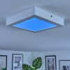 Omaro ceiling light, Panel LED white, 1-light source, Colour changer