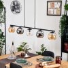 Koyoto hanging light, globe light, pendant light Amber, chrome, clear, Smoke-coloured, 5-light sources