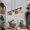 Koyoto hanging light, globe light, pendant light Amber, chrome, clear, Smoke-coloured, 5-light sources