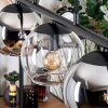 Koyoto hanging light, globe light, pendant light Amber, chrome, clear, Smoke-coloured, 5-light sources