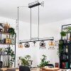 Koyoto hanging light, globe light, pendant light Amber, chrome, clear, Smoke-coloured, 5-light sources