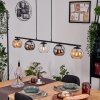 Koyoto hanging light, globe light, pendant light Amber, chrome, clear, Smoke-coloured, 5-light sources