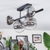 Chehalis ceiling light, globe light clear, Smoke-coloured, 5-light sources