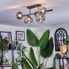 Chehalis ceiling light, globe light clear, Smoke-coloured, 5-light sources