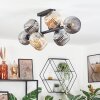 Ripoll ceiling light, globe light Amber, Smoke-coloured, 8-light sources