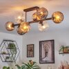 Ripoll ceiling light, globe light Amber, clear, Smoke-coloured, 8-light sources