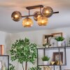 Ripoll ceiling light, globe light Amber, Smoke-coloured, 5-light sources