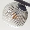 Ripoll ceiling light, globe light clear, Smoke-coloured, 5-light sources