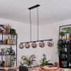 Gastor hanging light, globe light, pendant light chrome, Smoke-coloured, 5-light sources
