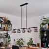 Ripoll hanging light, globe light, pendant light Smoke-coloured, 5-light sources