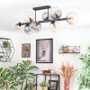 Koyoto ceiling light, globe light Amber, clear, Smoke-coloured, 8-light sources