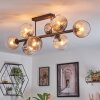 Koyoto ceiling light, globe light Amber, clear, Smoke-coloured, 8-light sources