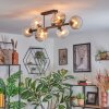 Koyoto ceiling light, globe light Amber, clear, Smoke-coloured, 8-light sources