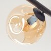 Ripoll ceiling light, globe light Amber, 5-light sources