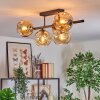 Ripoll ceiling light, globe light Amber, 5-light sources