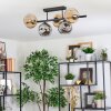 Ripoll ceiling light, globe light Amber, Smoke-coloured, 5-light sources