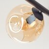 Ripoll ceiling light, globe light Amber, Smoke-coloured, 5-light sources