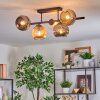 Ripoll ceiling light, globe light Amber, clear, Smoke-coloured, 5-light sources