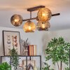 Ripoll ceiling light, globe light Amber, clear, Smoke-coloured, 5-light sources